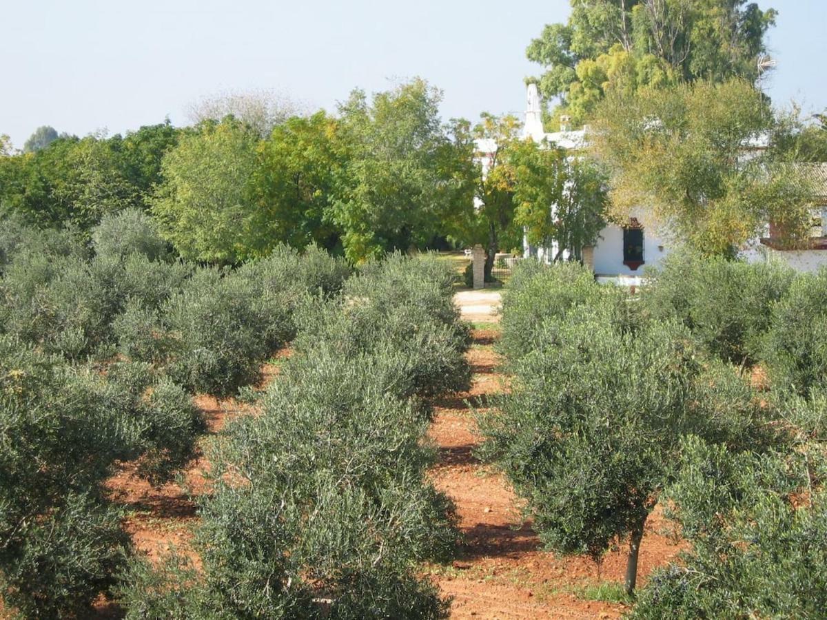 Hacienda Chambergo Casa En La Campina Sevillana Écija Dış mekan fotoğraf